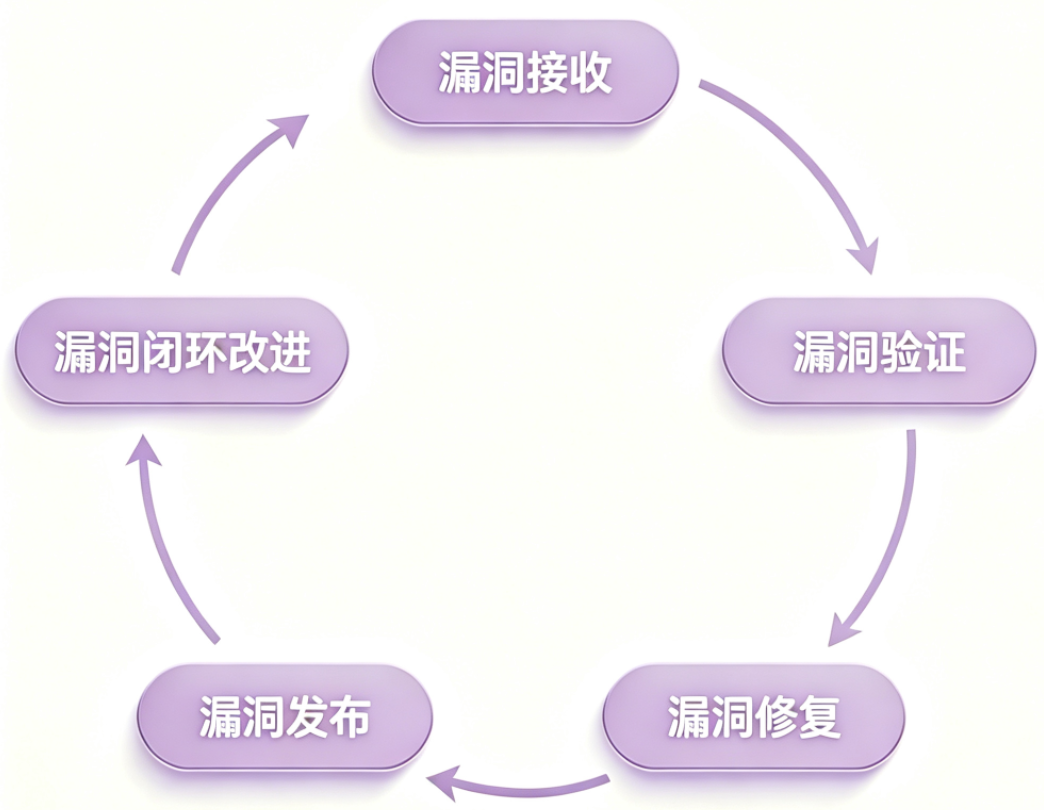 漏洞流程图.png