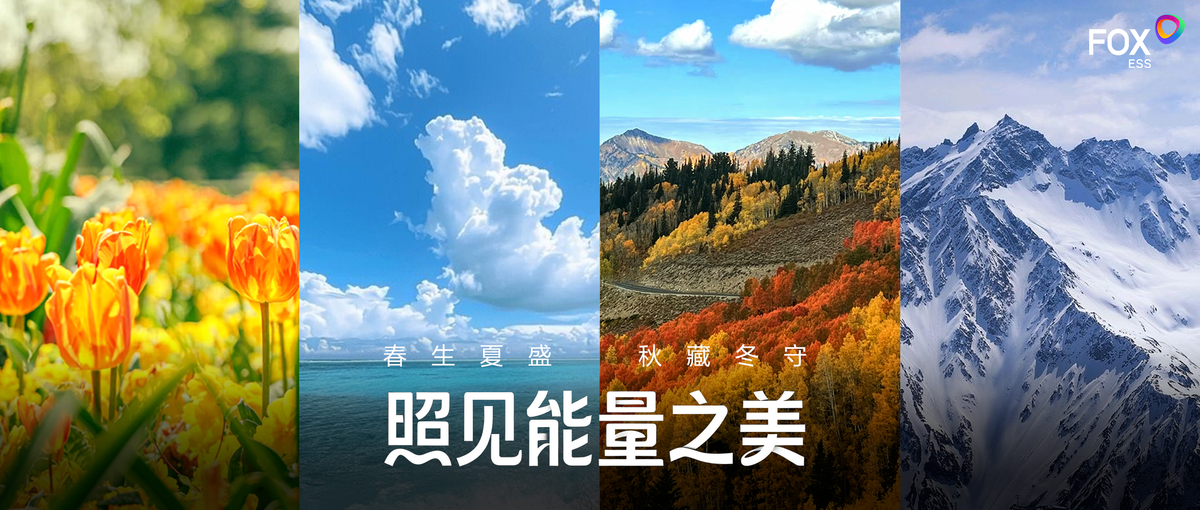 视频号封面.png